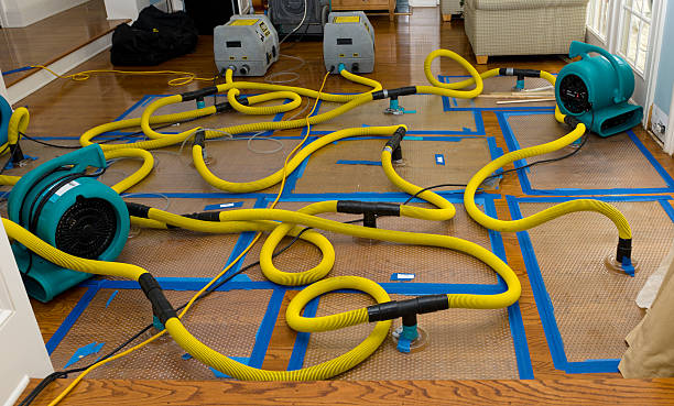 Professional Sewage Cleanup technician working in Jamestown, OH